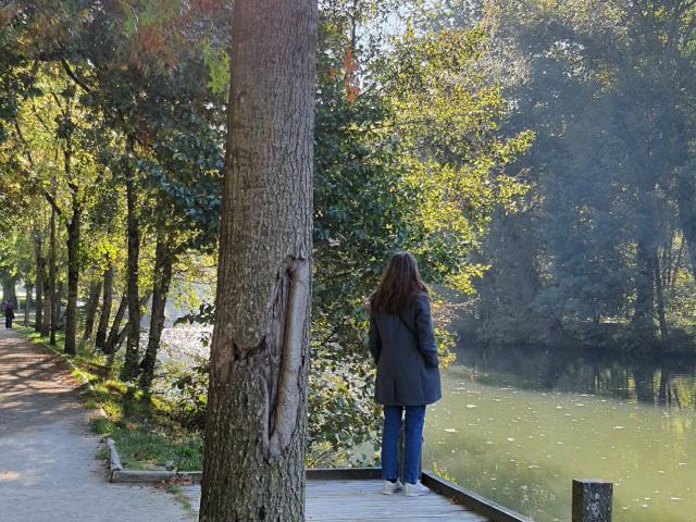 Au bord d'un chemin de promenade entre les arbres, au bord de l'eau, personne sur un ponton de bois de dos, qui regarde la rivière Aveyron