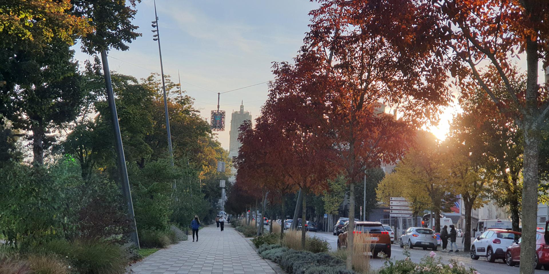 Personnes marchant sur l'allée piétonne entre les arbres aux couleurs automnales, face à la cathédrale, au soleil couchant