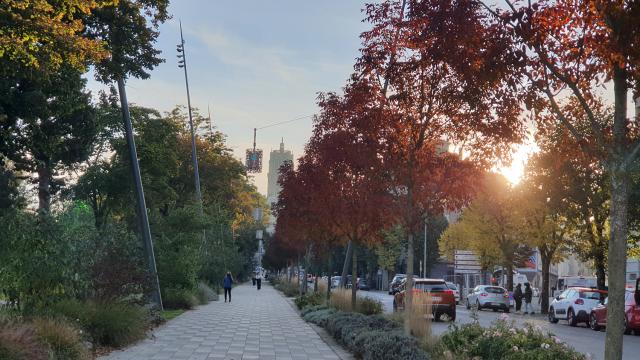 Personnes marchant sur l'allée piétonne entre les arbres aux couleurs automnales, face à la cathédrale, au soleil couchant