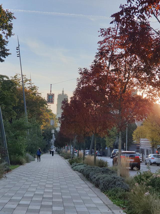 Avenue Victor Hugo