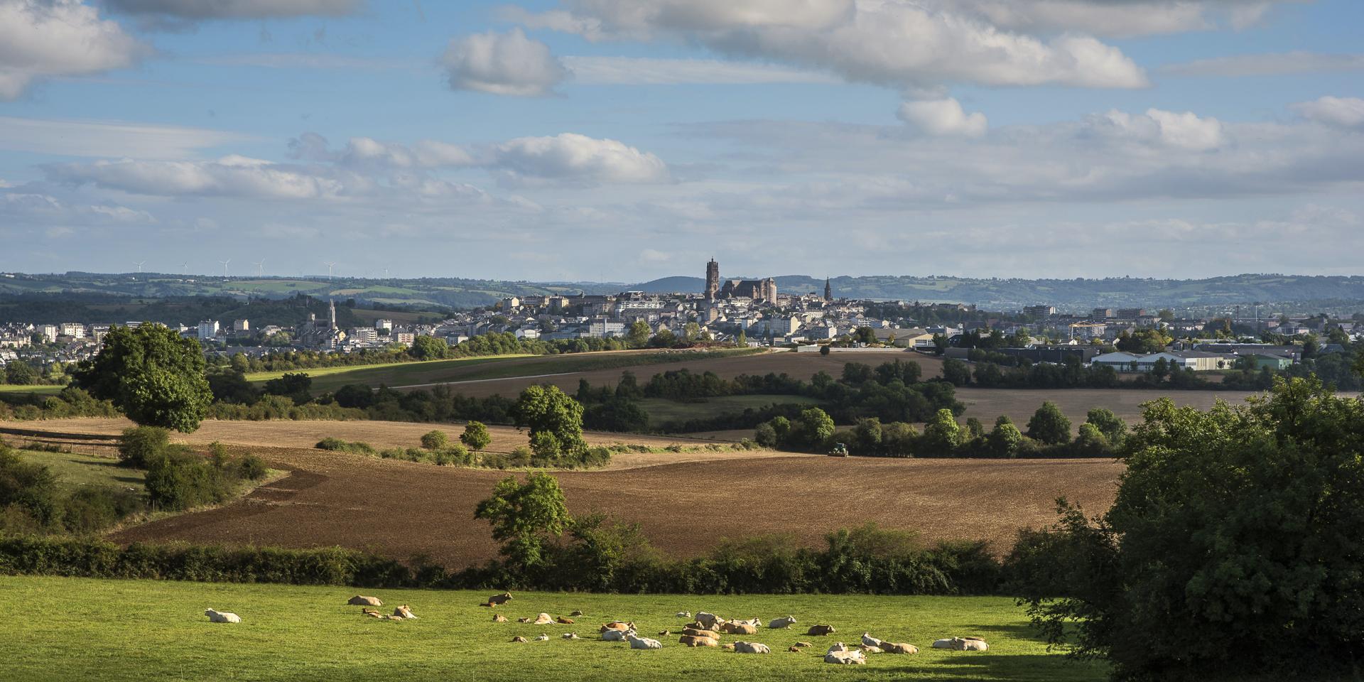 Vue lointaine sur Rodez et sa cathédrale depuis la campagne avec des prés et des vaches allongées dans l'herbe en premier plan