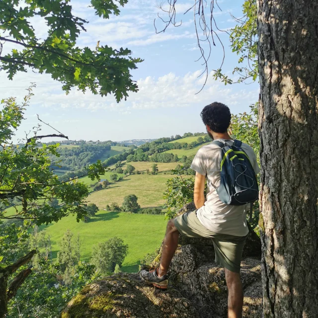 Personne de dos avec un sac à dos, short et teeshirt, qui observe la vallée de l'Aveyron depuis un point de vue plongeant, à l'orée d'un bois, à côté d'un arbre