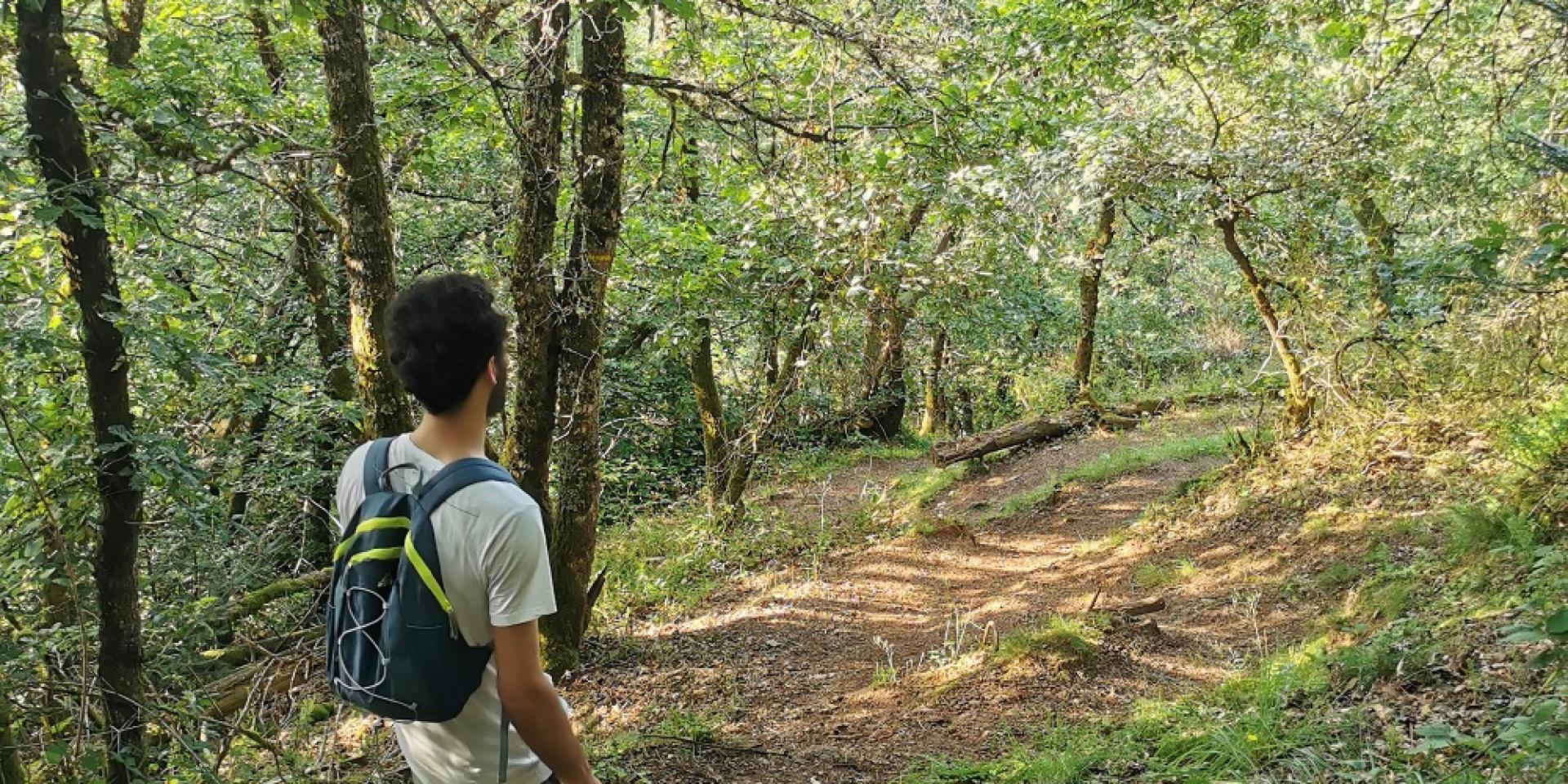 Personne avec un sac à dos randonnant sur un chemin descendant au milieu d'une forêt