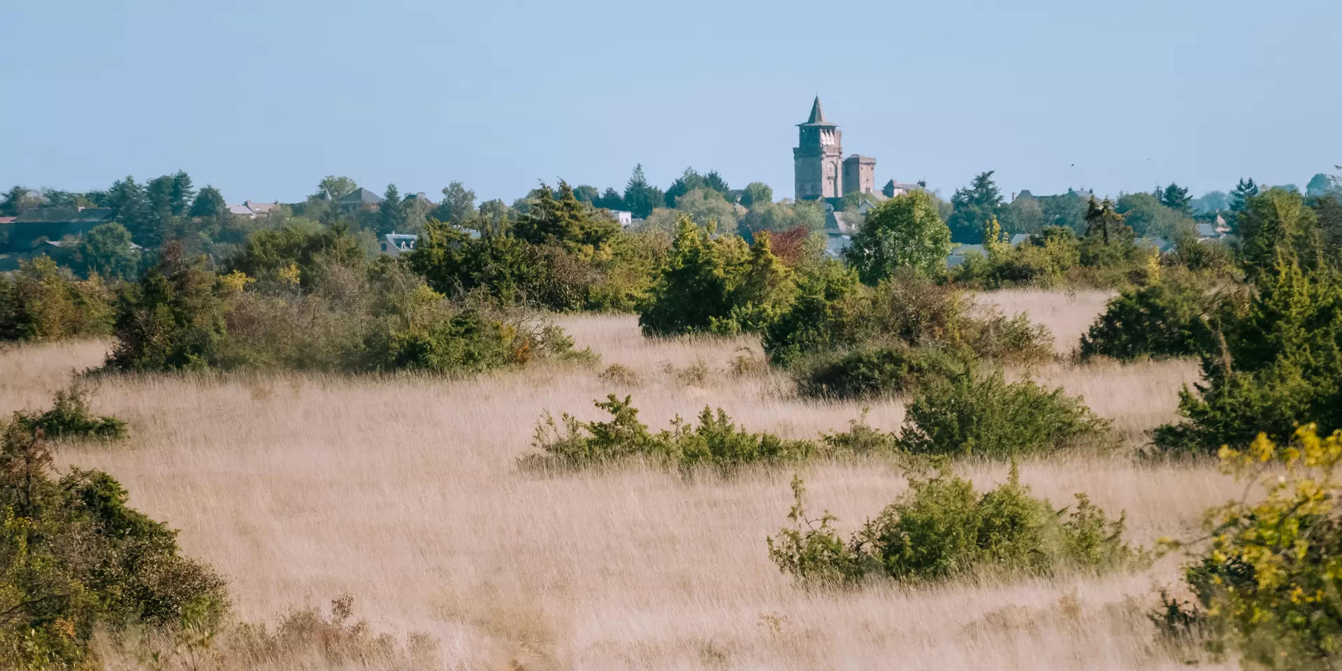 Eglise d'Inières cachée par le causse et ses herbes sauvages, sèches, et ses massifs à feuillage
