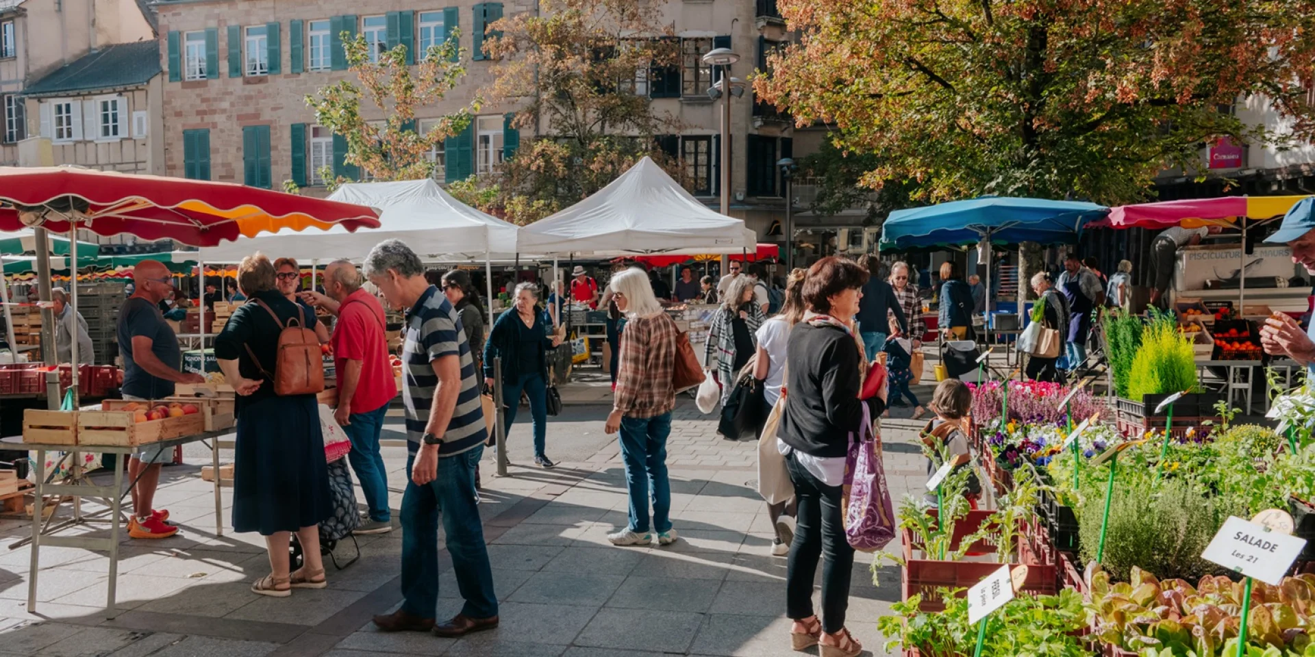 Personnes au marché de Rodez, devant les différents étals, sous les parasols pour protéger du soleil