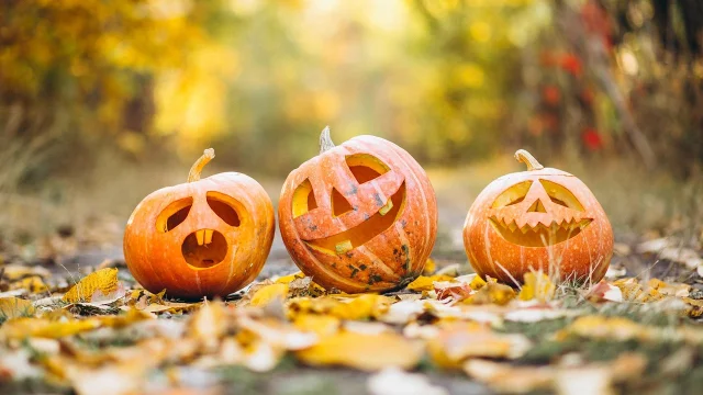 Pumpkin 6720424 1280