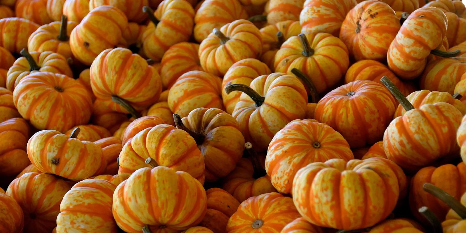 Pumpkins 8338100 1280
