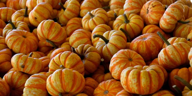 Pumpkins 8338100 1280