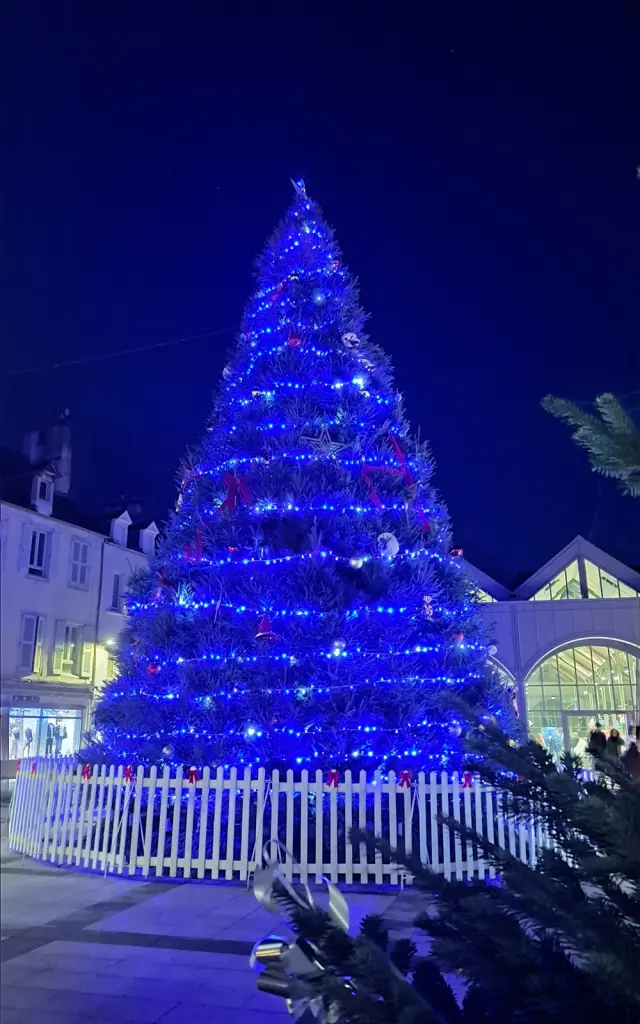 Sapin géant illuminé à proximité des Halles de Rodez