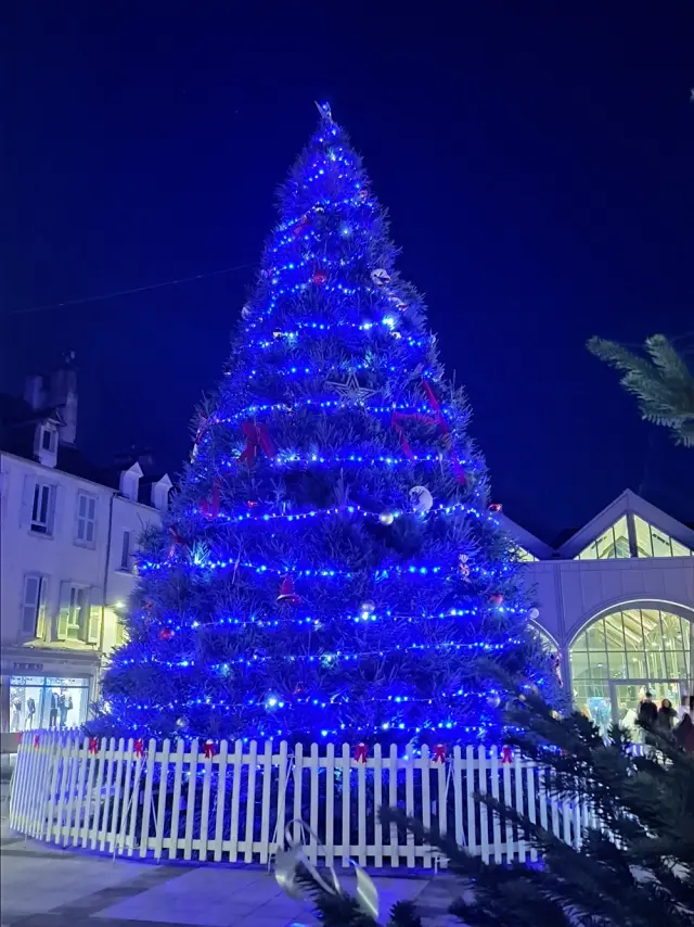 Sapin géant illuminé à proximité des Halles de Rodez