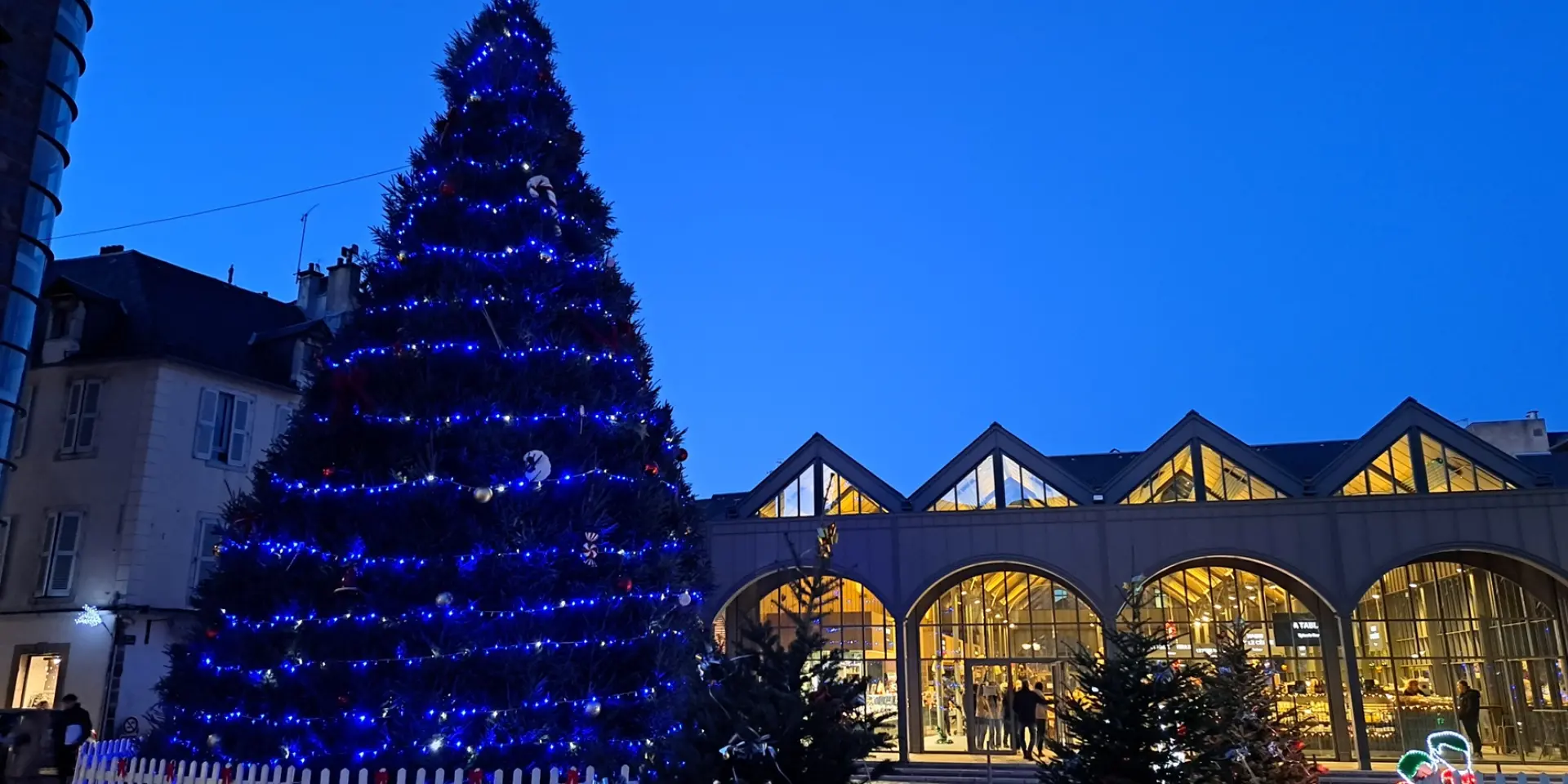 Sapin géant illuminé en soirée devant les halles de Rodez