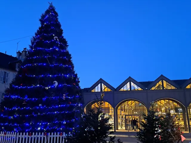 Sapin géant illuminé en soirée devant les halles de Rodez