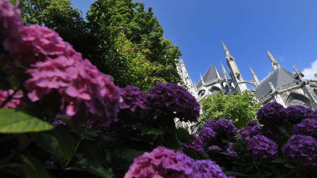 Jardins de l'Hôtel de Ville Rouen