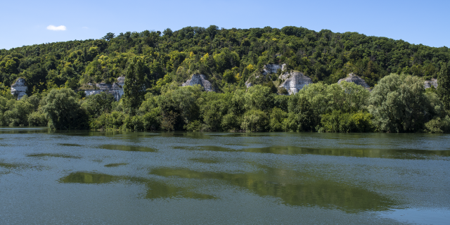 Bandeau Image - And In The Middle Flows The Seine