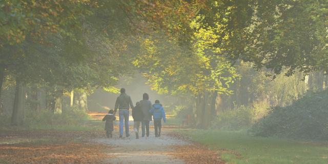 Forêt, Roumare, famille, balade, randonnée, arbre, végétation, nature