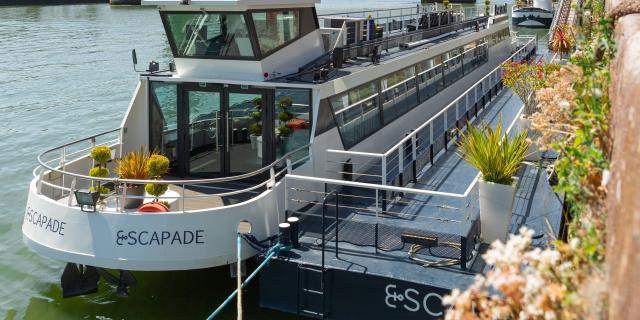 Cruises in the heart of the port activity