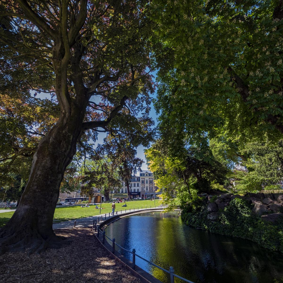 Lupin à Rouen : l’avez-vous bien regardé