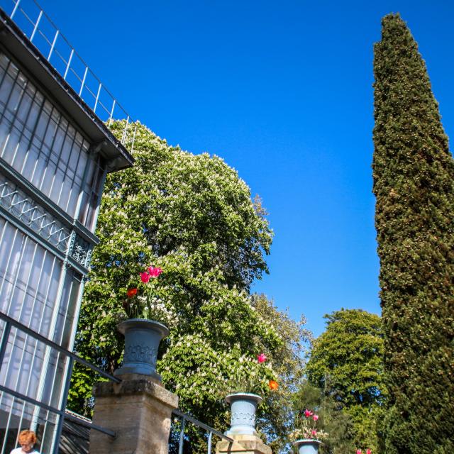 Garden of Plants of Rouen