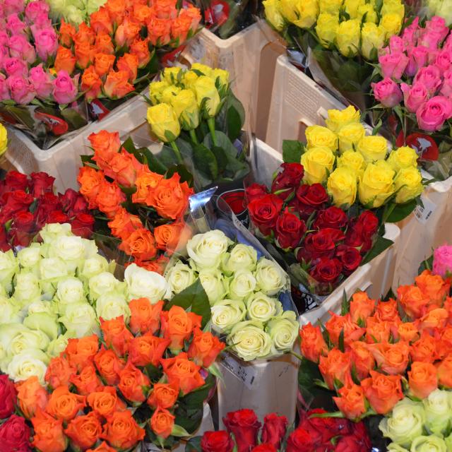 MIN flores colores Rouen mercado ecológico profesional frutas verduras variedad