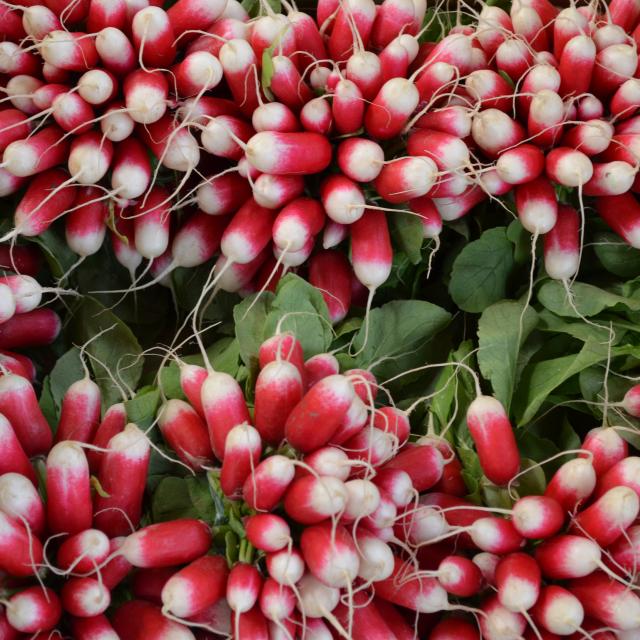 MIN colores Rouen profesional mercado ecológico frutas verduras variedad