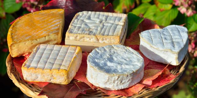 Cheeses From Normandy
