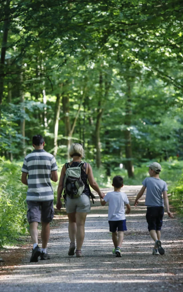 Rouen, normandie, forêt, alan aubry, végétation, arbre, détail enfants, balade