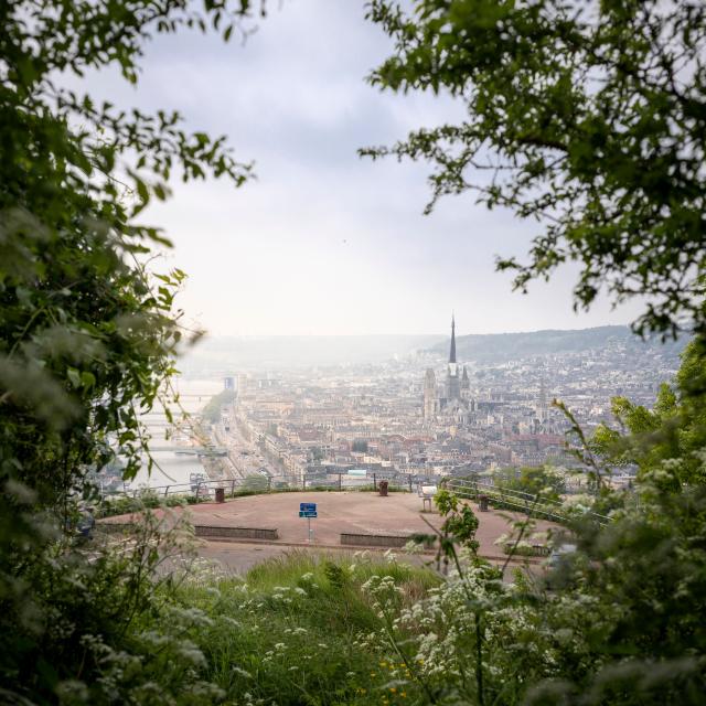 Panorama of the Sainte-Catherine coast, Rouen