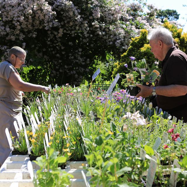 jardin jardinage