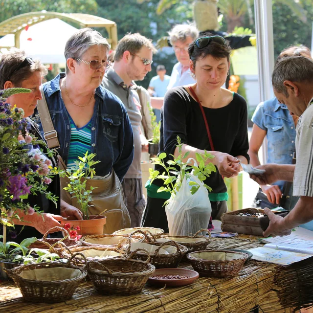 Graine de jardin jardin des plantes Sotteville Les Rouen Fête Festivité exposants balade promenade sortie familiale plantes fleurs nature activité atelier culture végétaux matériel de jardinage vide jardin métropole Rouennaise
