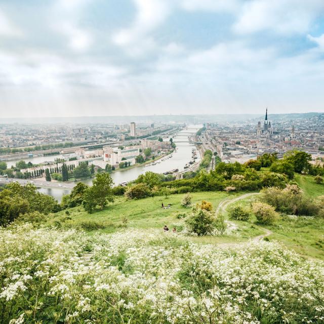 Panorama of the Sainte-Catherine coast, Rouen