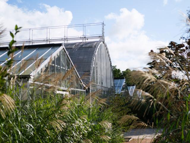 Festival Graines de jardin : 90 000 mains vertes attendues à Rouen, pendant  deux jours