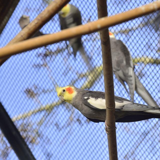 Les 12 meilleurs parcs animaliers - OnVaSortir! Rouen