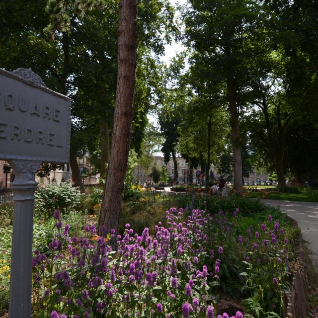 Plaza Verdrel Rouen Naturaleza centro ciudad Naturaleza Verdor Plantas Jardín Paseo Marítimo