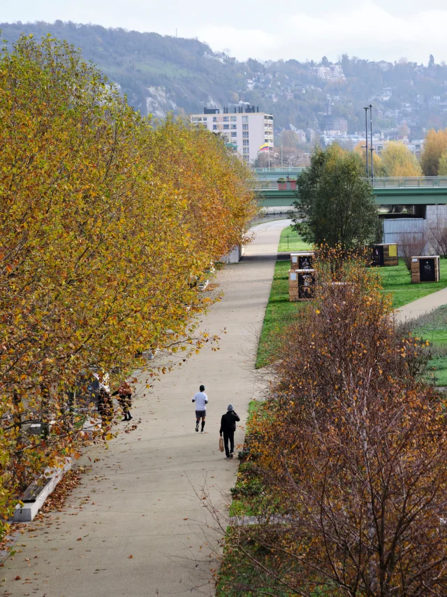 Quais de Rouen Sport Courir Balade Promenade Centre-ville Normandie