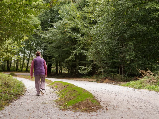 Duclair Forêt Nature végétation arbre faune flore Normandie randonnée sentiers