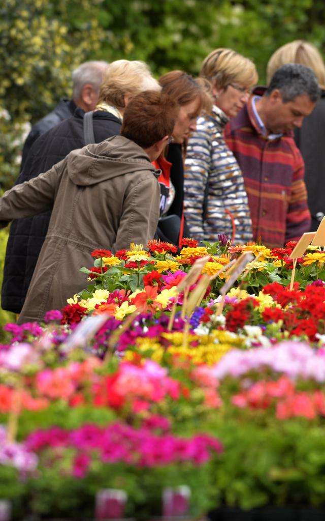 Garden Seed Festival