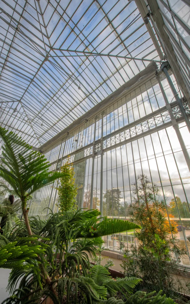Jardin des Plantes Nature Végétation Vert Détente Parc Balade Promenade Fleurs espèces Famille Sotteville Normandie France métropole rouennaise
