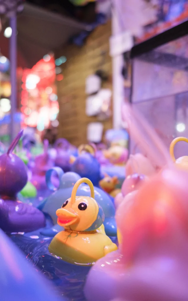 Foire Saint Romain Manège Amusement Sortie entre amis Sortie en famille Vacances scolaires