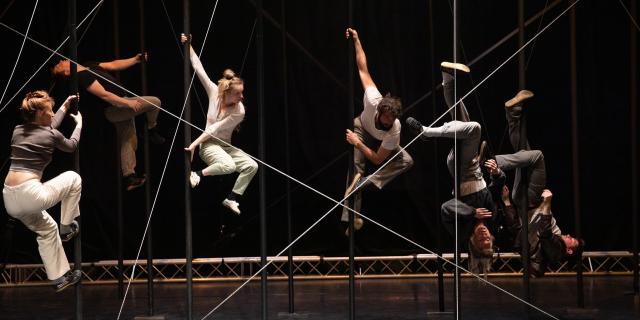 Mikado, a short story of collapse - Collective under the coat