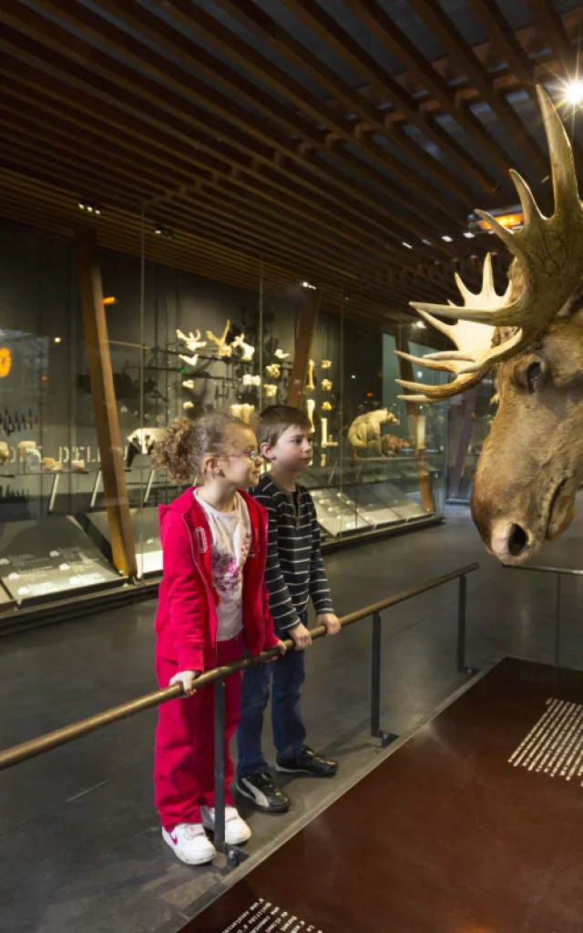 Fabrique des savoirs elbeuf musée famille enfants industrie art exposition culture découverte visite textile