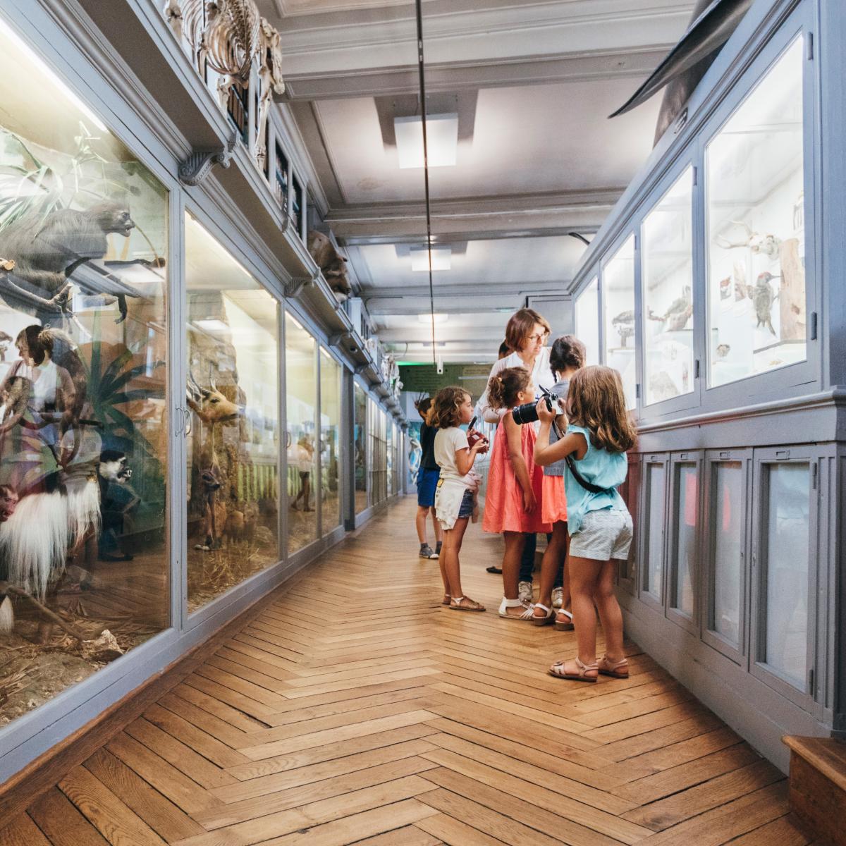 Un été au musée à Rouen