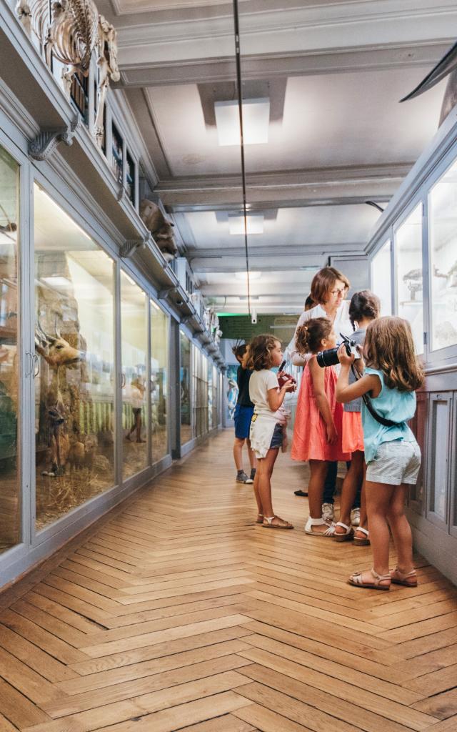 Aa Mrn 18 08 23 Rouen Muséum Histoire Naturelle G (2)