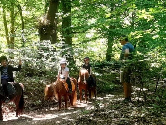 Hu dada Pony Cavalcate per bambini Scoperta della natura Passeggiate nel bosco Iniziazione Vegetazione Relax