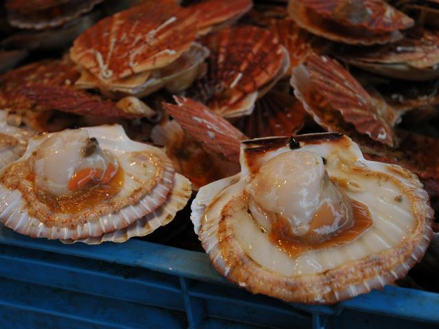 Gastronomie Cuisine Coquille Saint-Jacques Recettes Normandes Rouen Normandie Produits de la mer Restaurant
