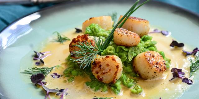 Recette Coquille Saint-Jacques Normandie Crème Fraiche Savoir-Faire Tradition Local
