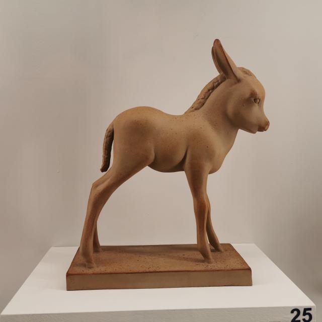 Les Animaux dans les Musées