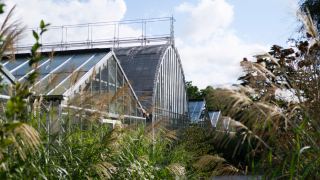 Jardin Des Plantes Alan Aubry