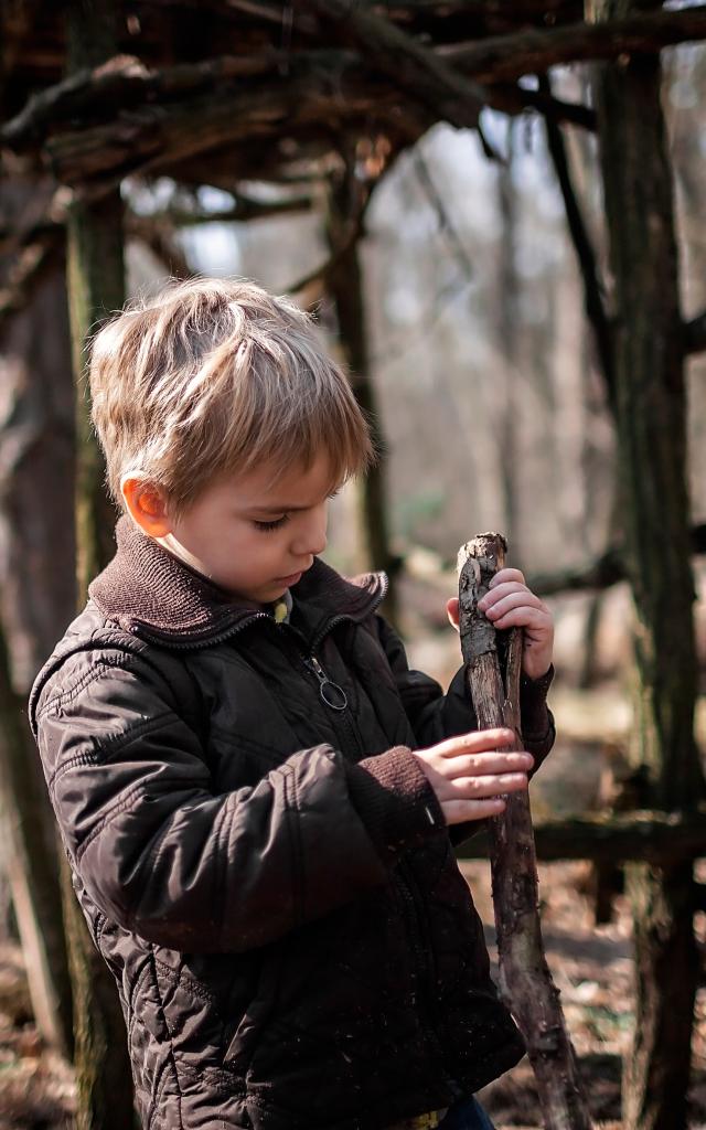 Cabane dans la forêt