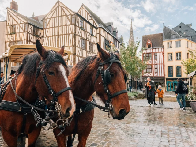 Rouen au pas des chevaux