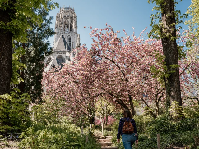 Rouen Au Printemps Cerisier En Fleurs Parc De L'Hotel De Ville Marie Anais Thierry Marie Anais Thierry 24774 1600px
